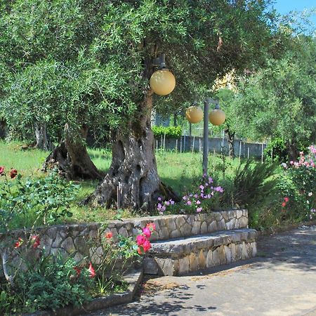 Lefkothea Apartments Kassiopi Bagian luar foto