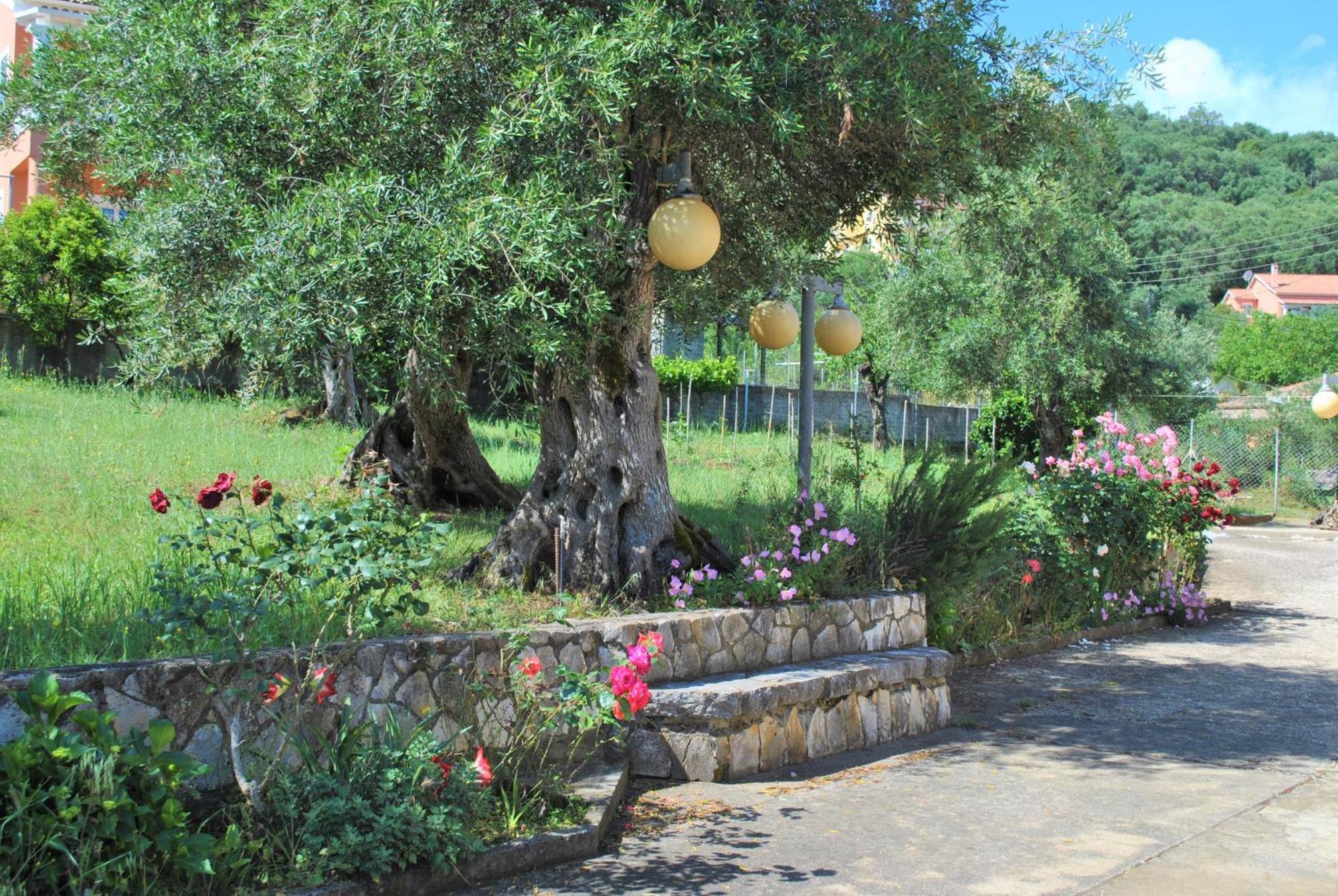 Lefkothea Apartments Kassiopi Bagian luar foto